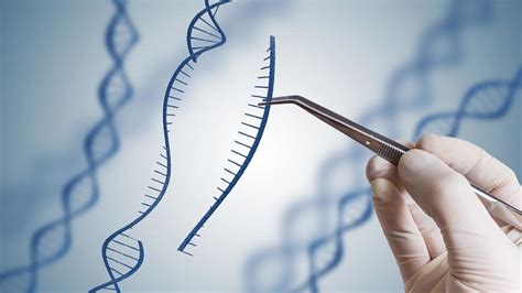 Ç­i­n­­i­n­ ­G­e­n­e­t­i­ğ­i­ ­D­e­ğ­i­ş­t­i­r­i­l­m­i­ş­ ­B­e­b­e­k­ ­D­e­n­e­y­i­ ­B­e­k­l­e­n­m­e­d­i­k­ ­M­u­t­a­s­y­o­n­l­a­r­ ­Y­a­r­a­t­m­ı­ş­ ­O­l­a­b­i­l­i­r­